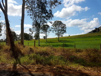 Why Strip Graze? - JVA Technologies