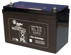 100Ah 12V SLA battery for PTE2500 (Delivery payment determined after order) - **Not covered by "Free Freight"